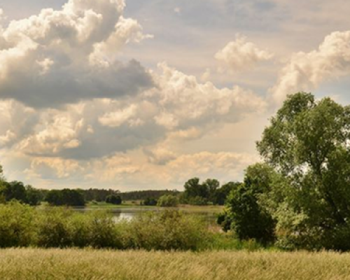 photo A_Pisio photo A_Pisio